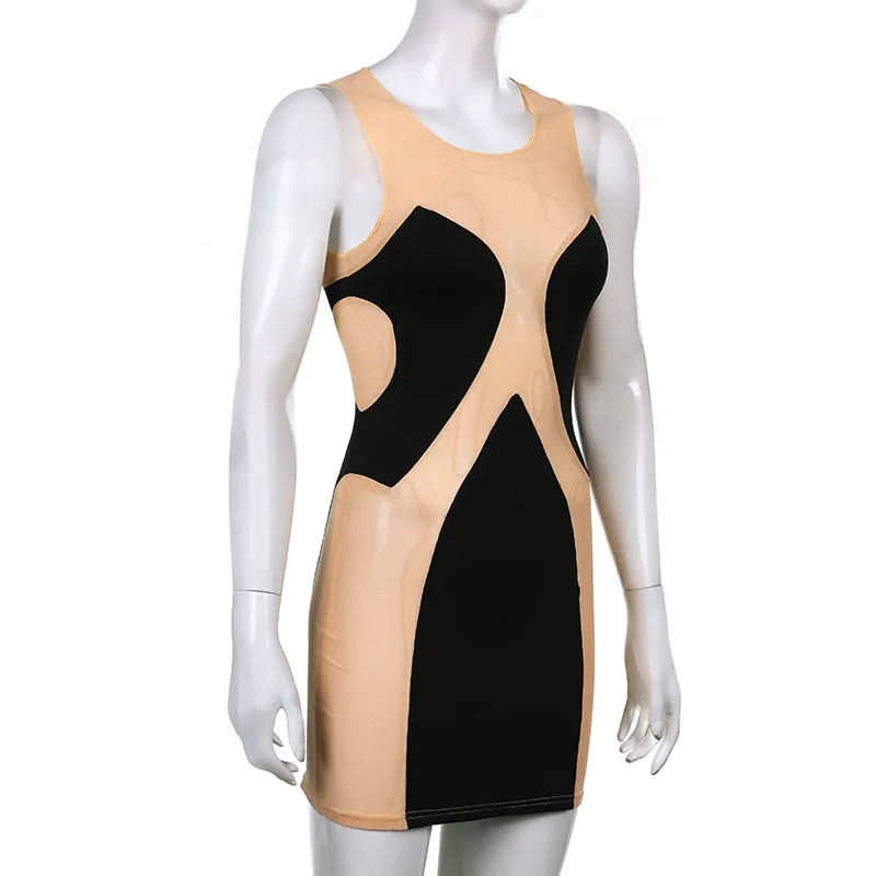 Almost Nude Sexy Mesh Bodycon Mini Dress