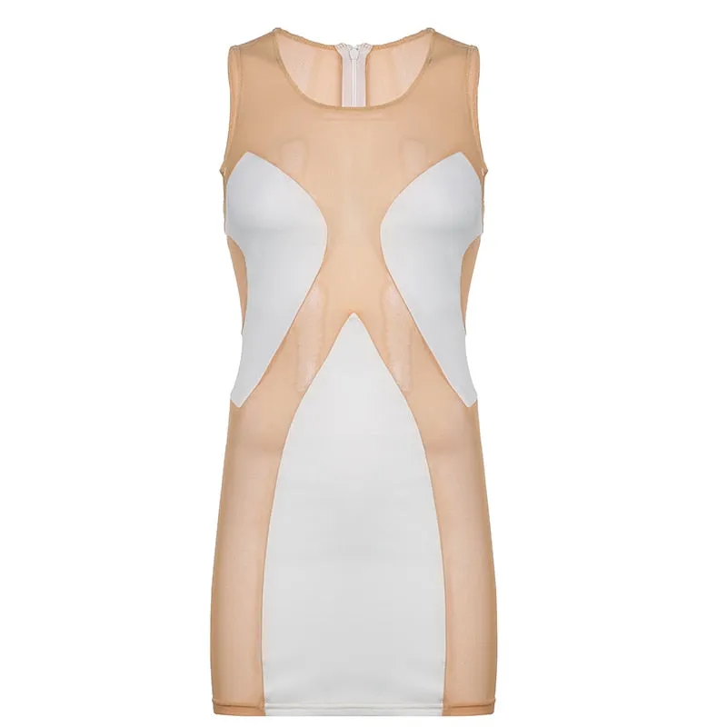 Almost Nude Sexy Mesh Bodycon Mini Dress