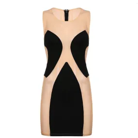 Almost Nude Sexy Mesh Bodycon Mini Dress