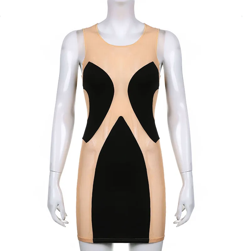 Almost Nude Sexy Mesh Bodycon Mini Dress