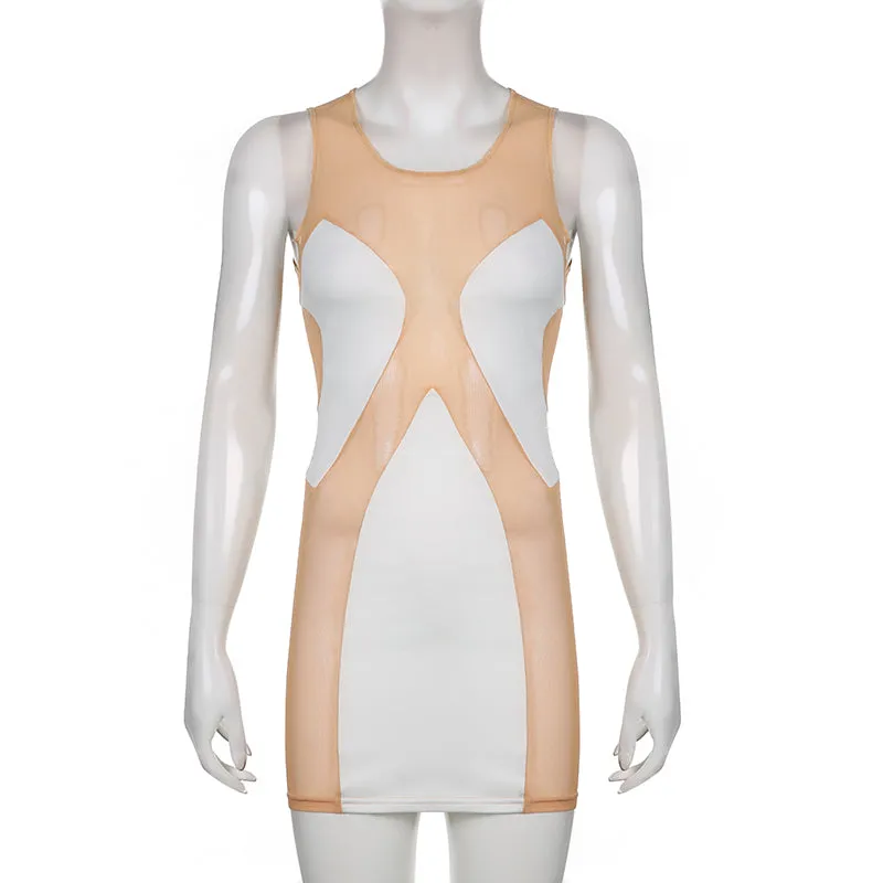 Almost Nude Sexy Mesh Bodycon Mini Dress