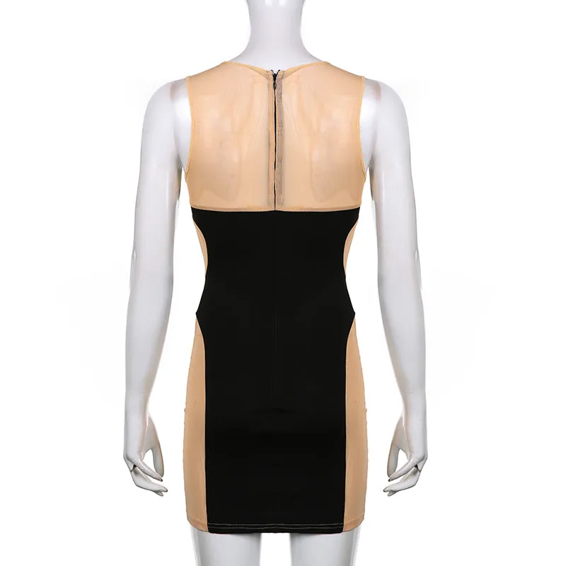 Almost Nude Sexy Mesh Bodycon Mini Dress