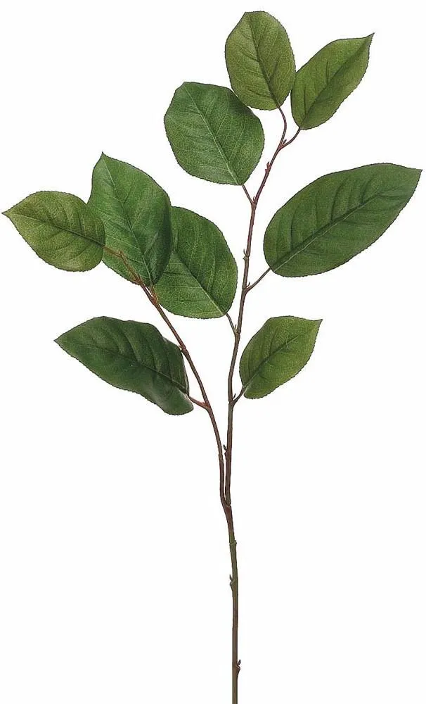 Salal Leaf ~ Silk Stem