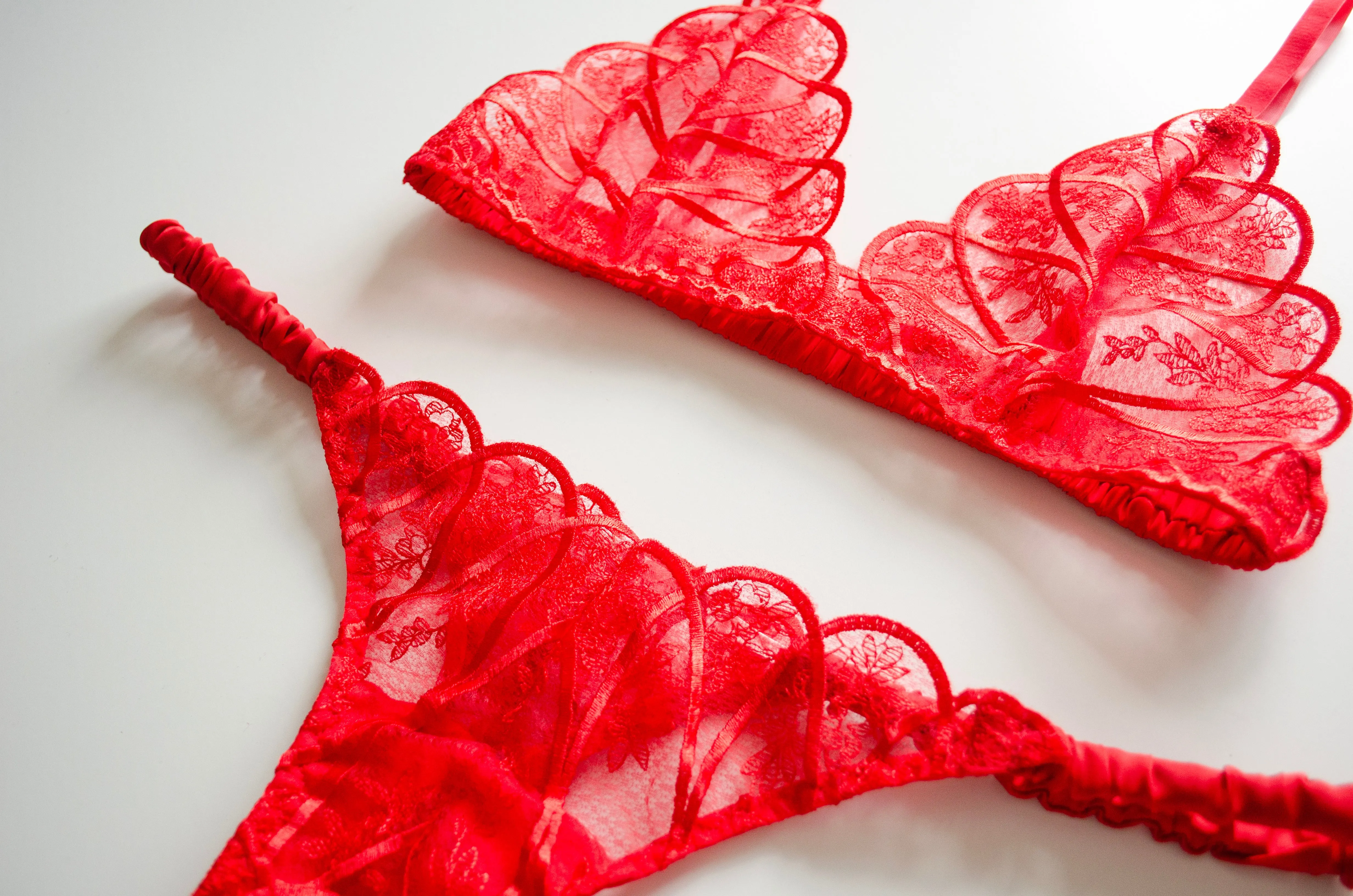 Scarlet Lace And Satin Bra